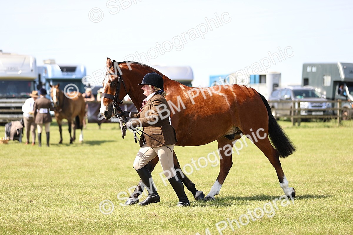 SBM_13813 - Class 77 - LIHS BSHA Rising Star Cobs