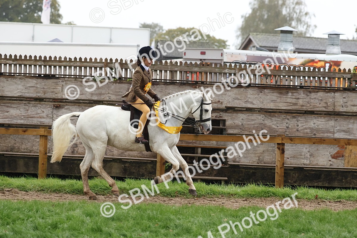 SBM_73127 - Ridden Pony Supreme Championship