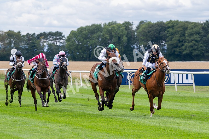 020825-Race 1-Rikki Tiki Tavi-2379 - Race 1