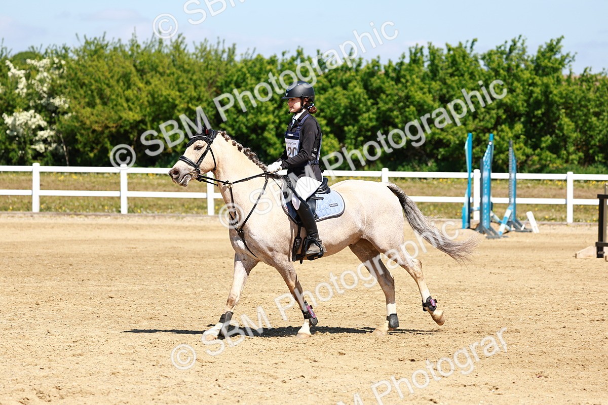 SBM_007386 - Class 3 - 60cm