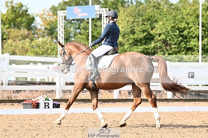 250815-095756-00243 - 026-Pippa.MorganDavinci.Vl