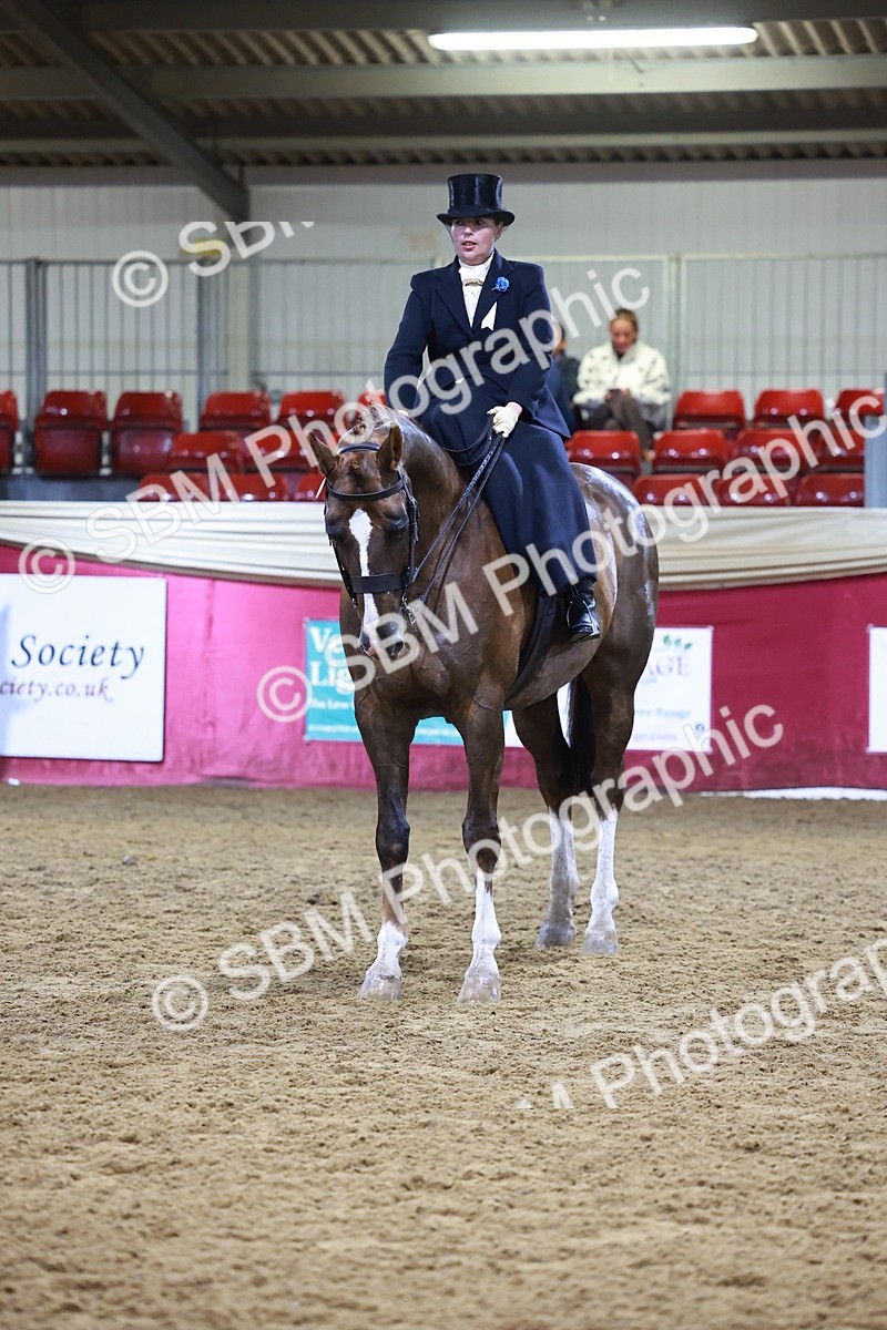 SBM_15411 - Class Q - Ridden Horse Champ