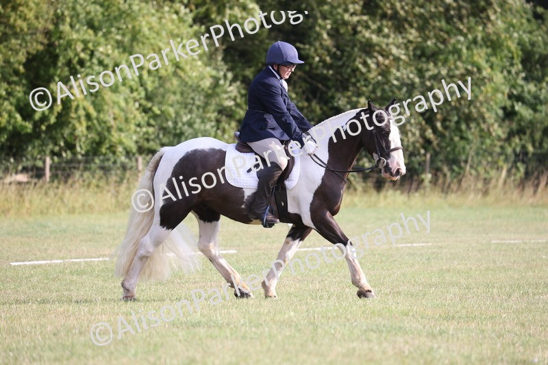 20250731-0034 - Class 2 - Prelim 3