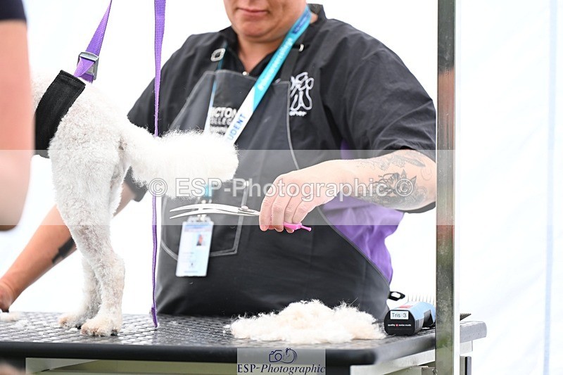 240525-114937-12643 - Candid and Saturday Hobby Horse