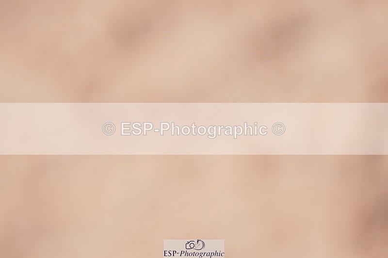 240728A-094604-08014 - Cls 25A Snr 1.05m