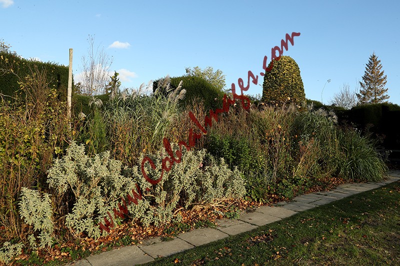 12 - Great Dixter, early November 2020
