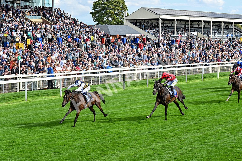 190826-Race 5-Small Fry-0656 - Race 5 16.10pm Sky Bet Stayers Handicap