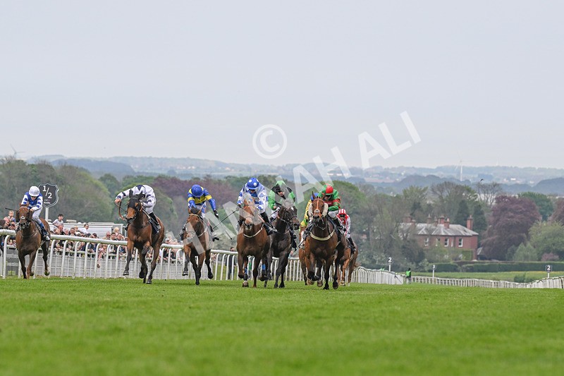 060524-Race 5-Original Thinker-2243 - Race 5