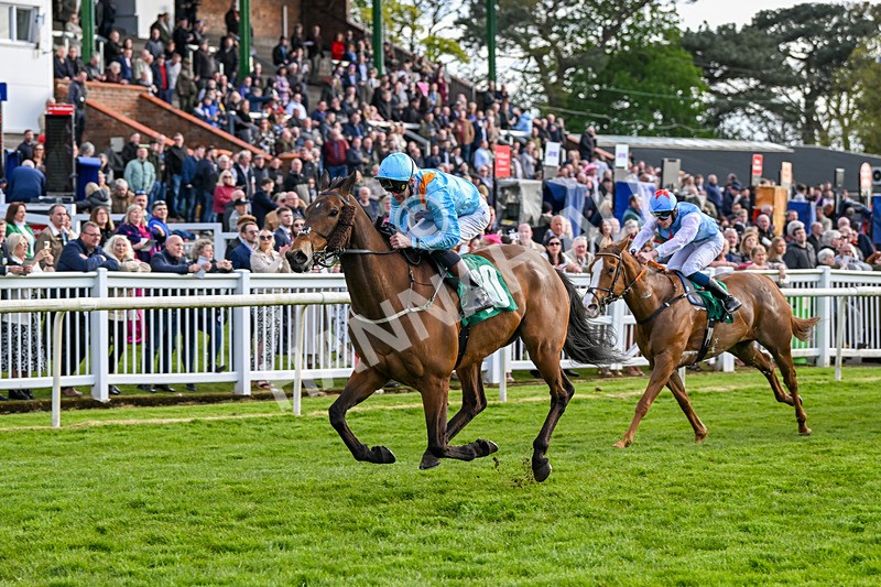 200424-Race 5-Cold Stare-6935 - Race 5