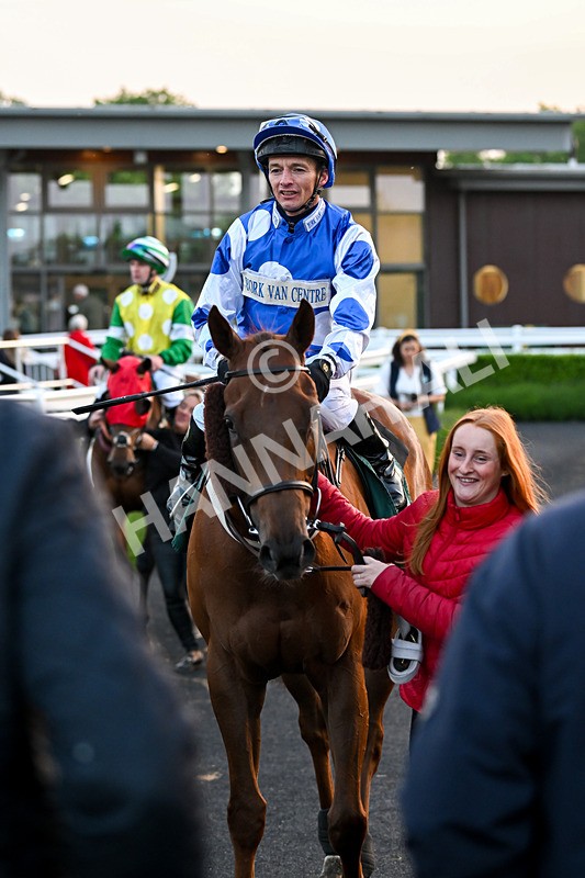 310524-Race 6-Mister Sox-9120 - Race 6