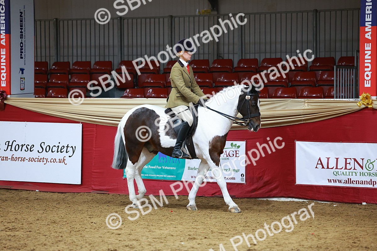SBM_09341 - Class 102 - HOYS Veteran Qualifier - Ridden Veteran