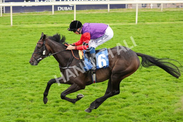 yr24072021r6-9 - Race 6 5.00pm Sky Bet Supporting New Beginnings