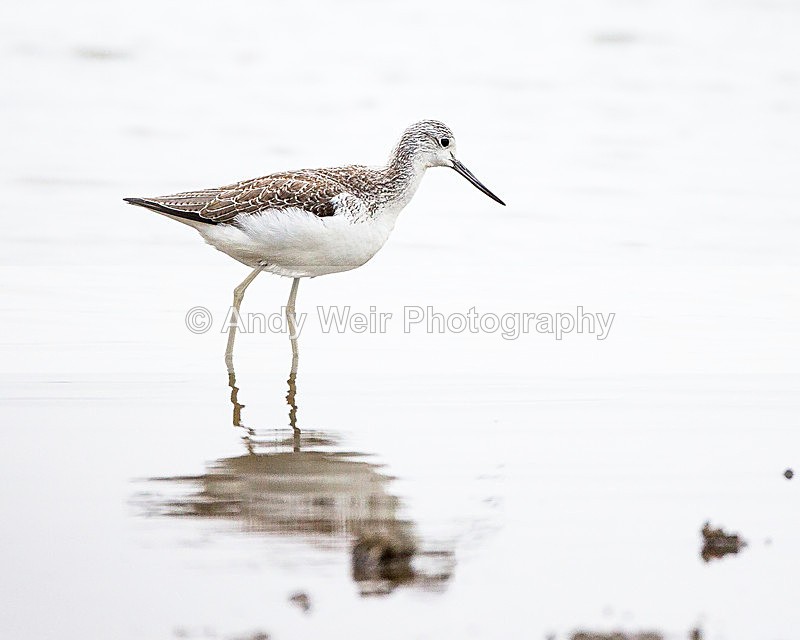 20131001-3K8A6478 - Waders
