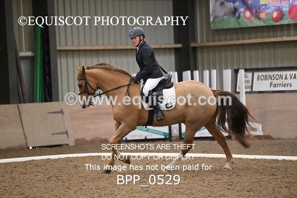 BPP_0529 - 15 - D JONES