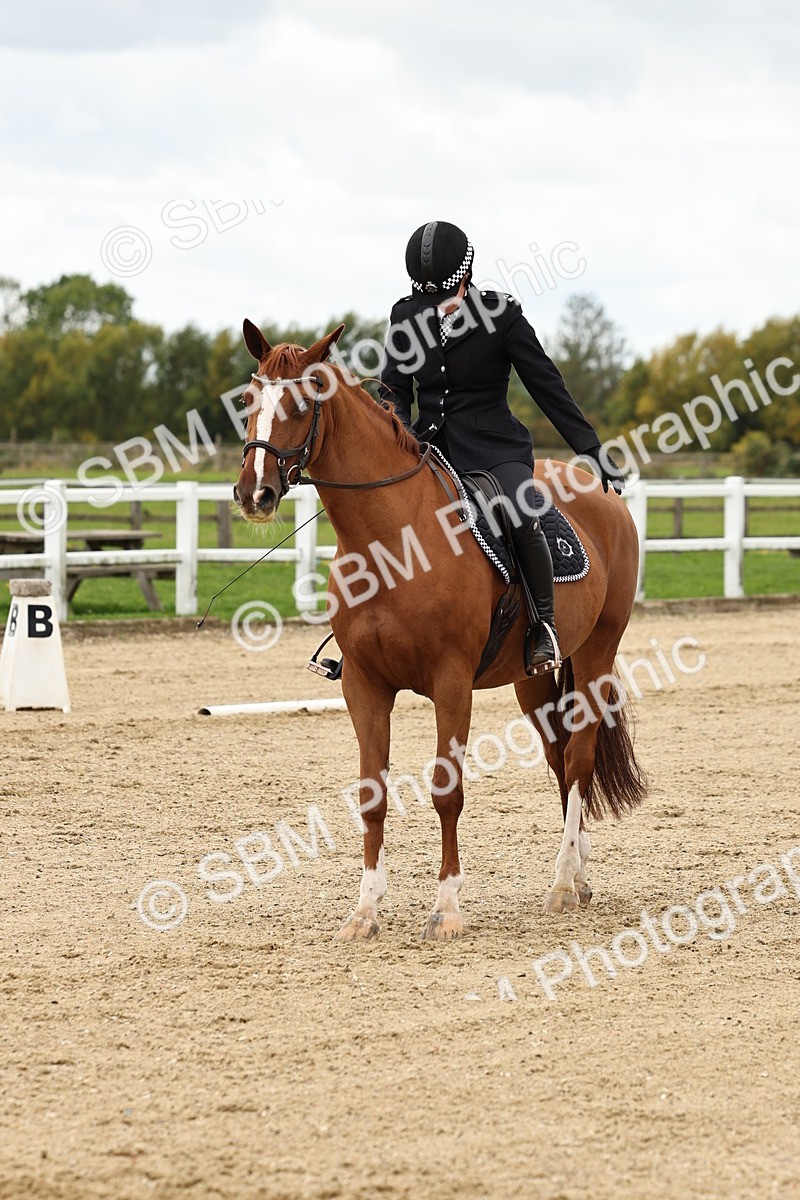 SBM_004580 - Class 69 - Novice 2