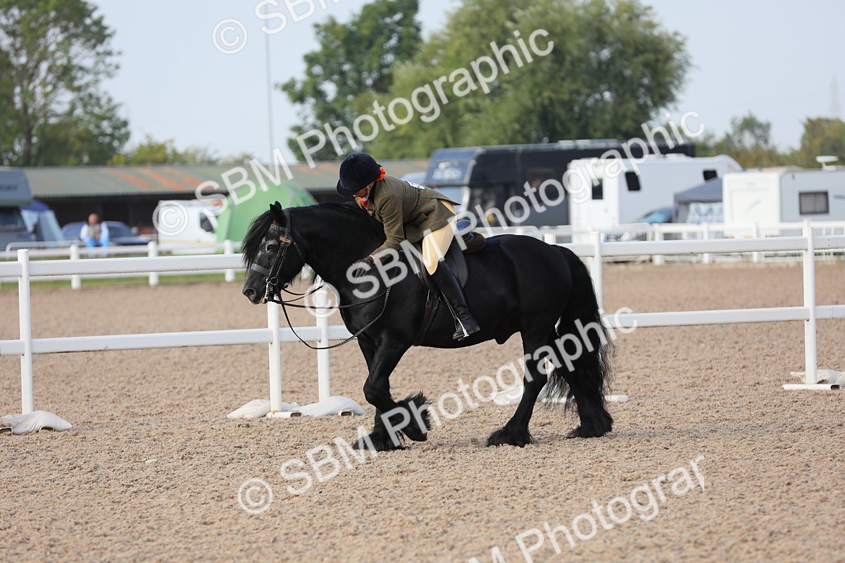 SBM_10124 - Class 302 Ridden M&M -Large Breeds