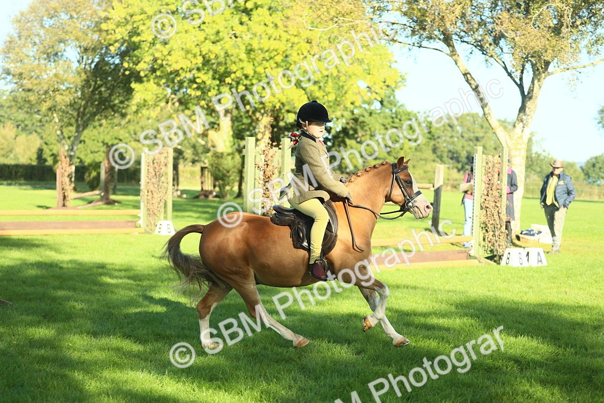 SBM_36340 - S29 - Novice & Newcomers Working Hunter Pony