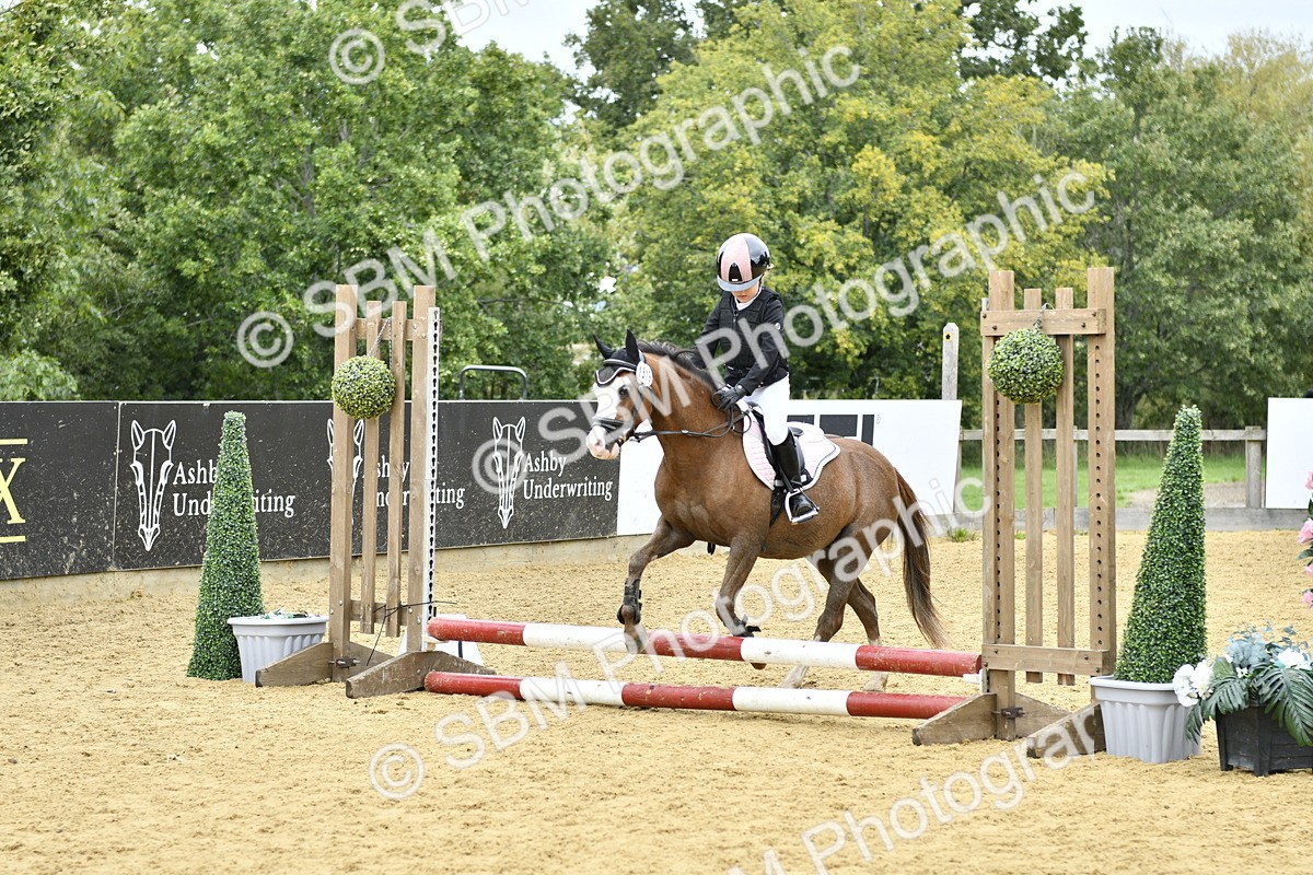 SBM_65548 - J2a mini Tour Junior Pony 30cm Championship