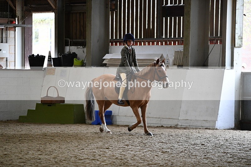 WJ5_6801 - Class 10 Childs Pony