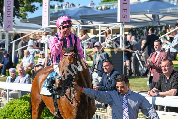 160525-Race 6-Bowmark-7282 - Race 6 4.55pm Darley EBF 'Confined' Novice Stakes