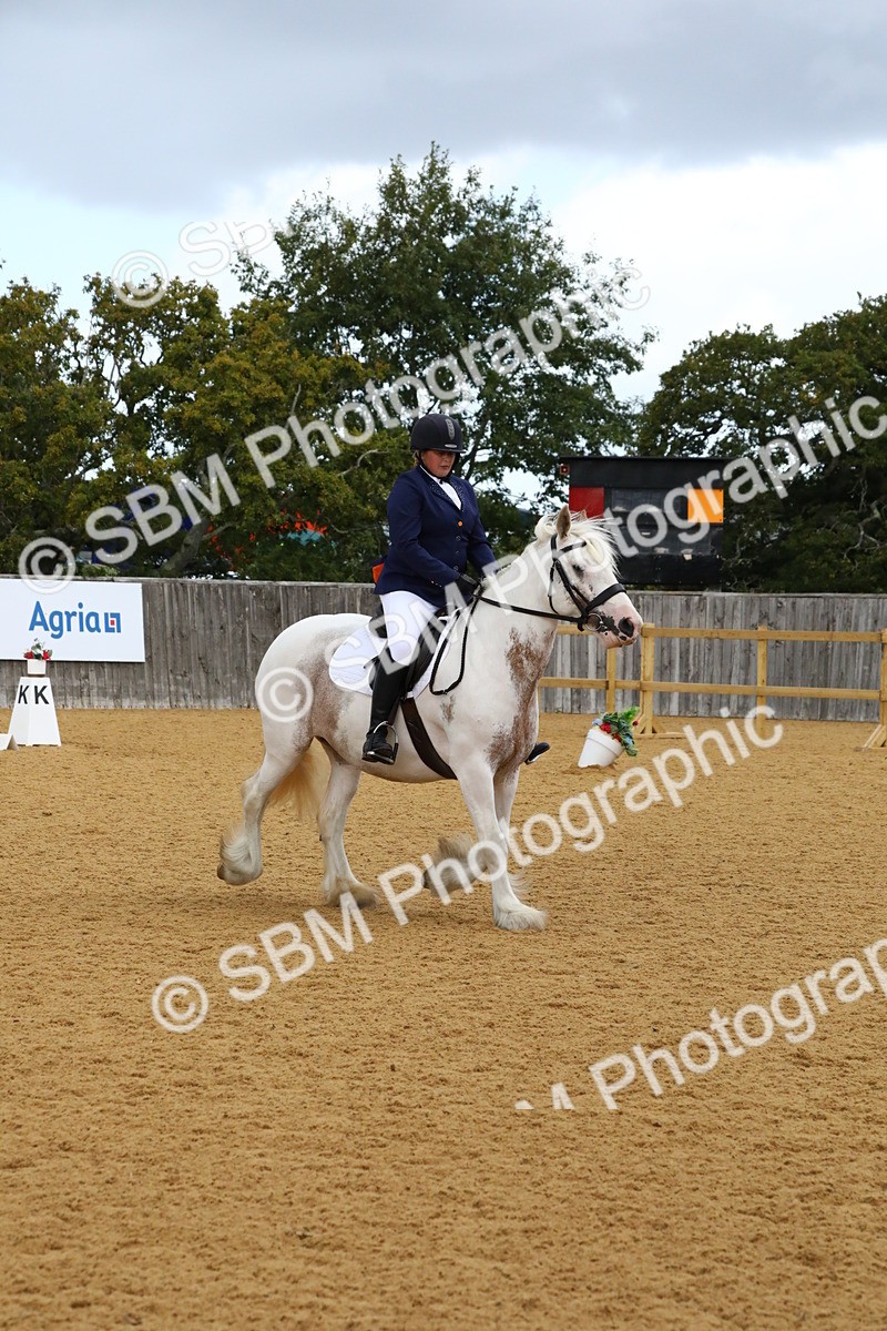 SBM_20858 - D5 - Small Tour Championshop Intro 2