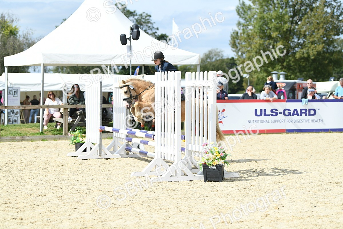 SBM_64642 - J48 - Pairs Jumping Open 70cm & 85cm