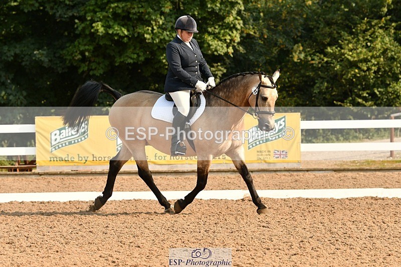 250817-092416-06897 - 082-Sarah.DavisWinston.Classic.Gold