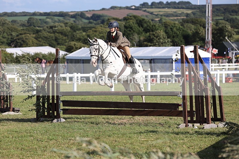 JPP_3174 - Class 21: Working Hunter 80cm