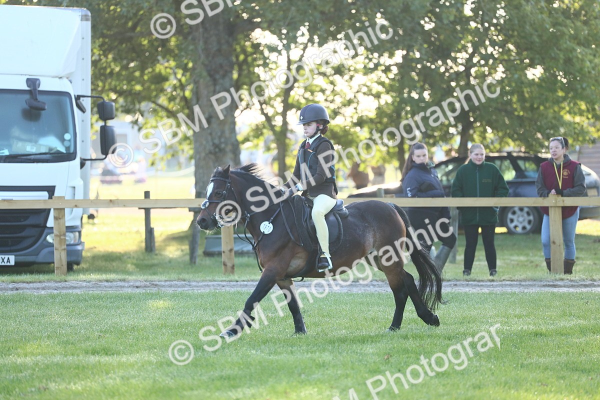 SBM_37280 - S29 - Novice & Newcomers Working Hunter Pony