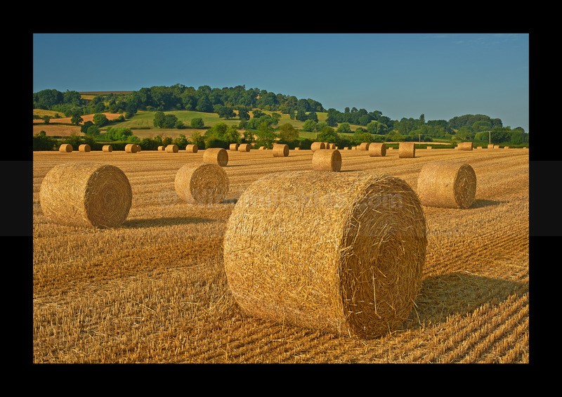  - Land
