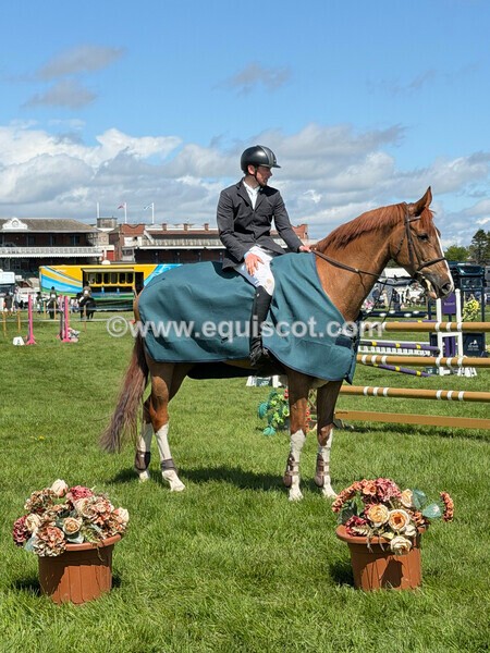 IMG_0443 - CLASS 3 ANDREW HAMILTON RHS FOX CHAMP QUAL