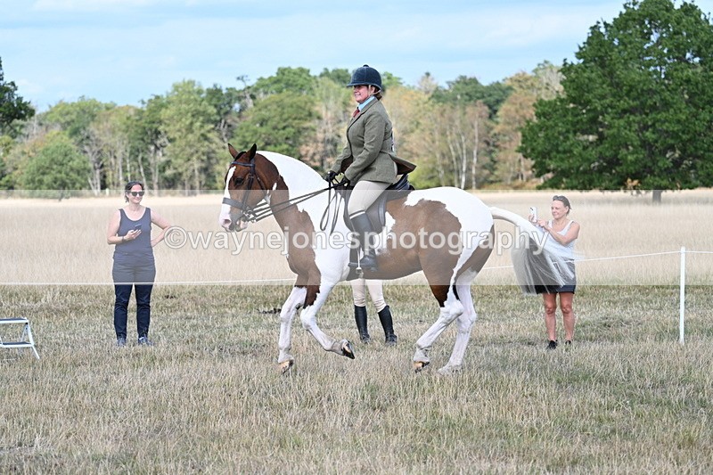 WJ7_6963 - Class 14 Ridden Coloured