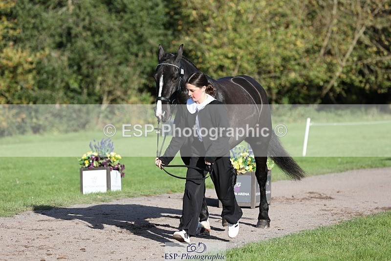 241027-095949-15626 - 452-Eleanor.Blewitt-CARRY.ON.PRINCESS