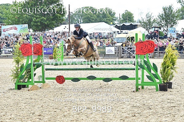 BPP_9989 - RHS 2019 Selection - *Just some random spectator shots so Lucky Dip if you are there!