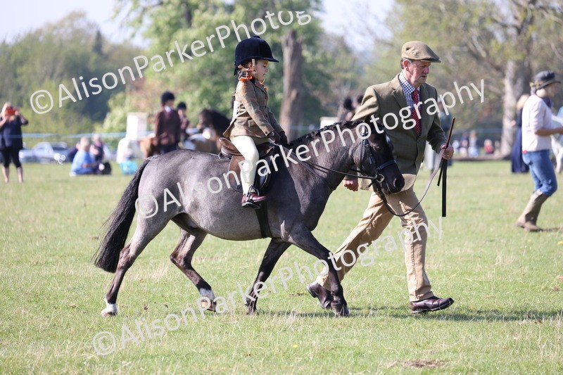 20250427-0169 - Class 30 - Tiny Tots Lead Rein