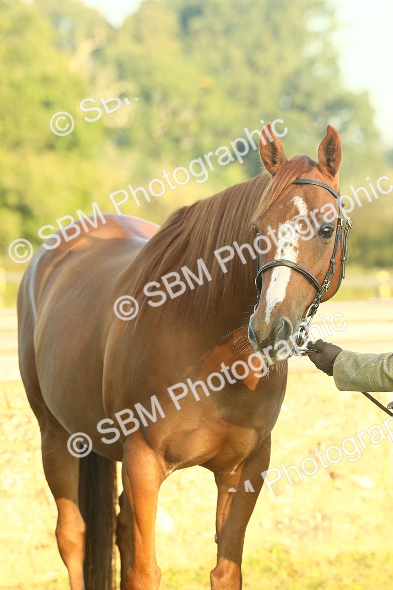 SBM_56555 - S36 - Starters Best Turnout