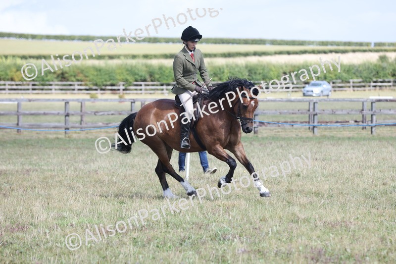 20250831-2933 - Class 19 - Mountain and Moorland