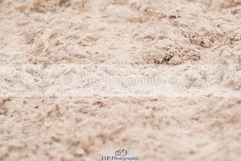 250621-101136-05635 - Quest Cls 7-11, Prelim All