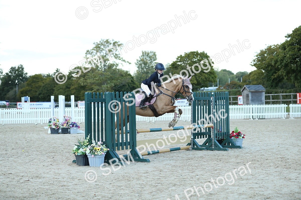 SBM_53686 - Supreme Championship 65cm 70cm