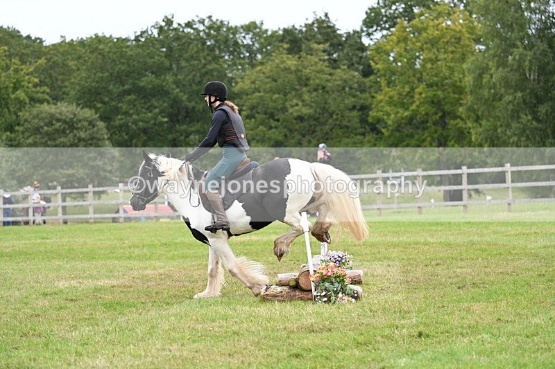 WJ7_7767 - 40cm Time 10:49 to 11:18