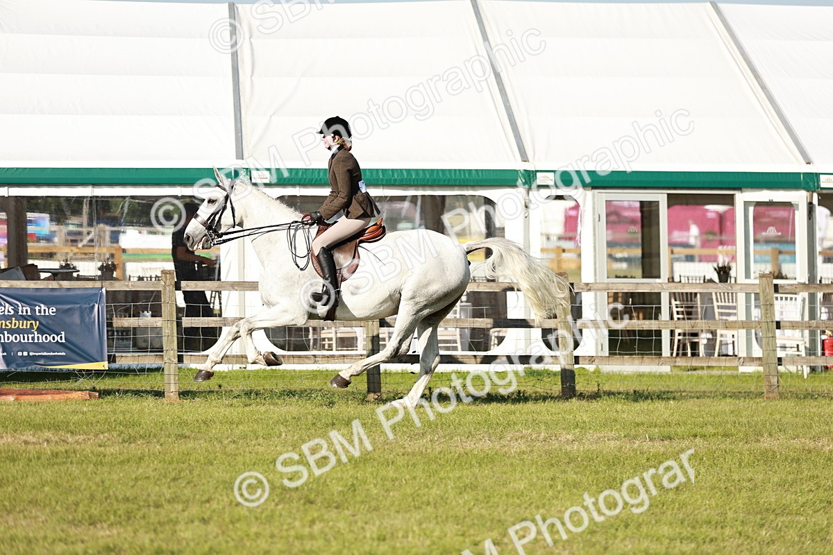 SBM_20008 - Class 115-116 - LIHS BSHA Rising Star Working Hunter & Show Horse