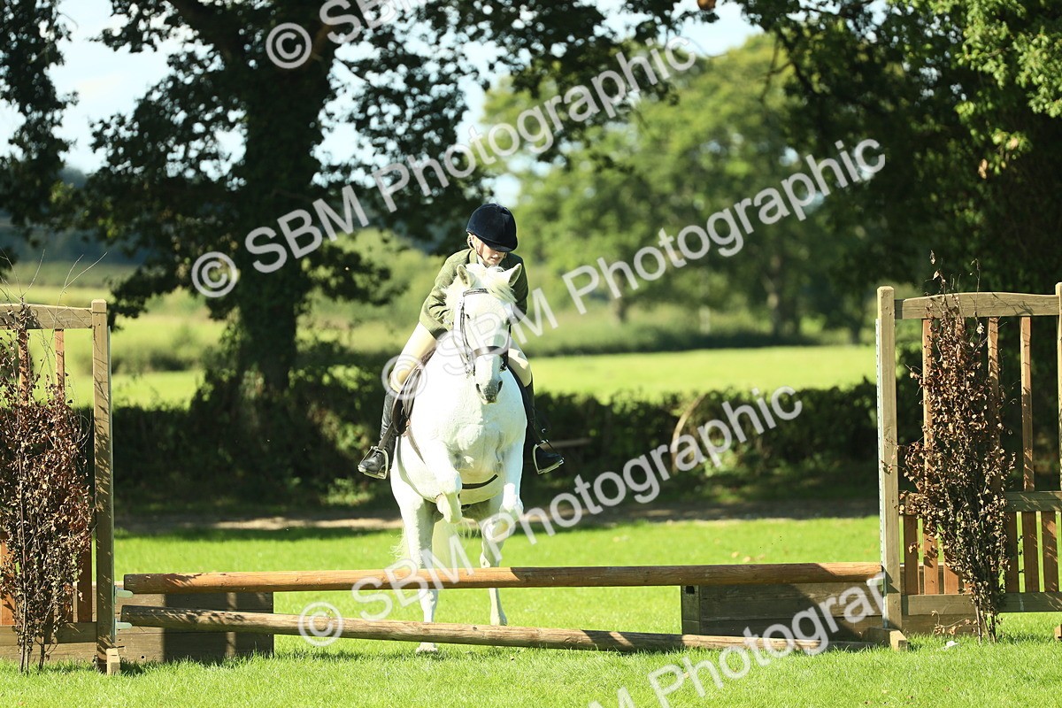 SBM_39178 - S29 - Novice & Newcomers Working Hunter Pony