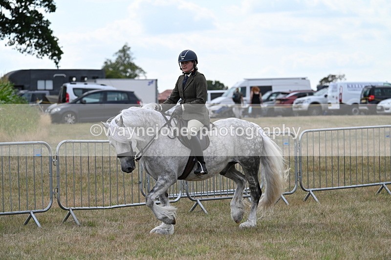 WJ7_4937 - Class 12 Ridden Cob
