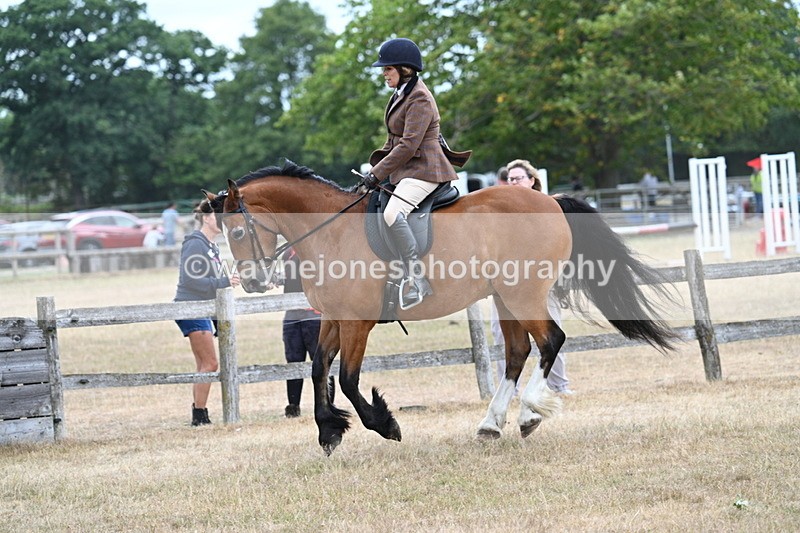 WJ7_0589 - Class 6 Ridden Mountain and Moorland