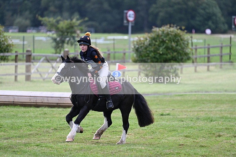WJ7_8024 - 40cm Time 10:49 to 11:18