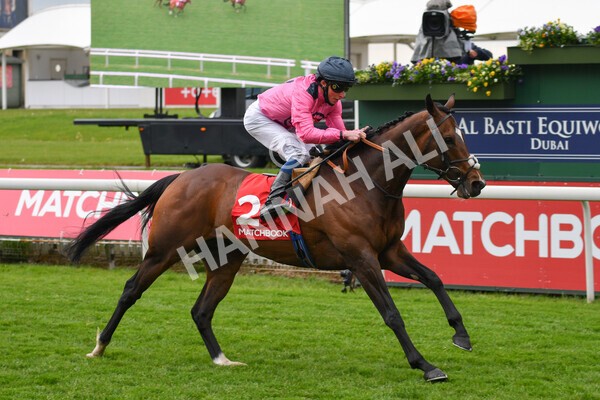 yr14052021r4-24 - Race 4 3.10pm The Matchbook Yorkshire Cup