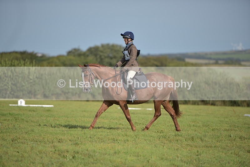RAY_7832 - Class 2B: Trekenning Open: Dressage