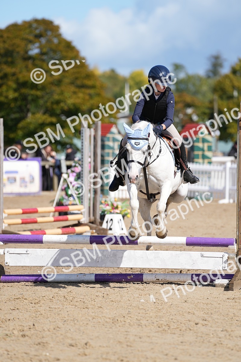 SBM_19817 - J49 - Open 50cm