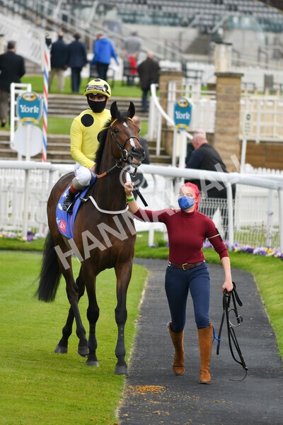 yr12052021r1-28 - Race 1 1.40pm Sky Bet Race to the Ebor Jorvik Stakes
