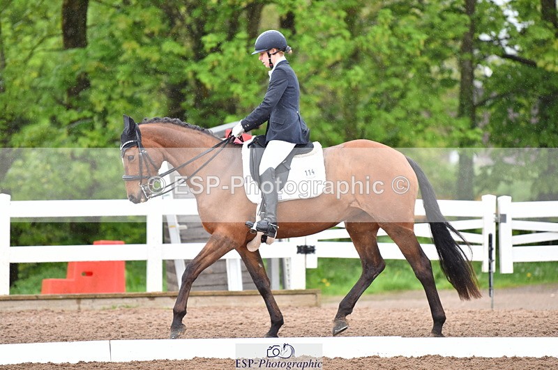 230511A-123250-00579 - BD Cls 8 Elementary 59